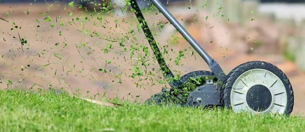 Lawn Care Services image